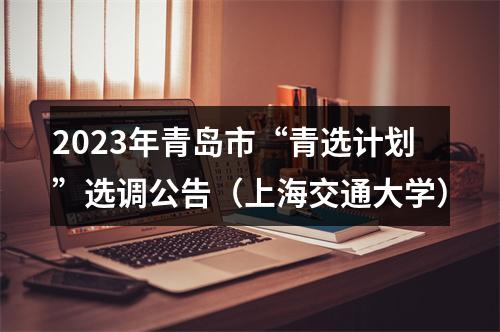 2023年青岛市“青选计划”选调公告（上海交通大学） 图片