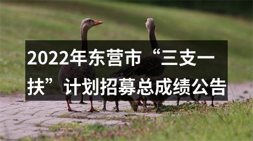 2022年东营市“三支一扶”计划招募总成绩公告 图片