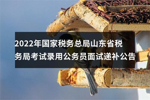 2022年国家税务总局山东省税务局考试录用公务员面试递补公告 图片
