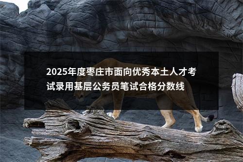 2025年度枣庄市面向优秀本土人才考试录用基层公务员笔试合格分数线 图片