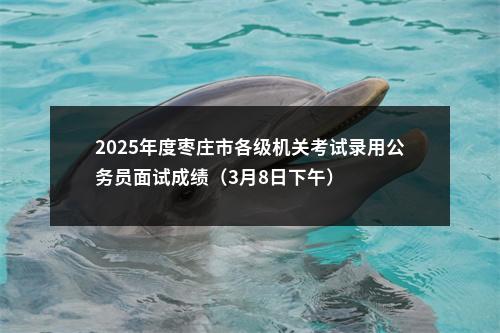 2025年度枣庄市各级机关考试录用公务员面试成绩（3月8日下午） 图片