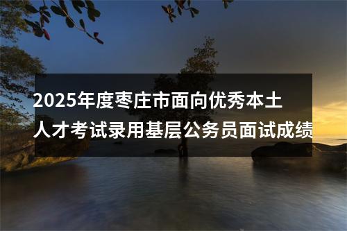 2025年度枣庄市面向优秀本土人才考试录用基层公务员面试成绩 图片