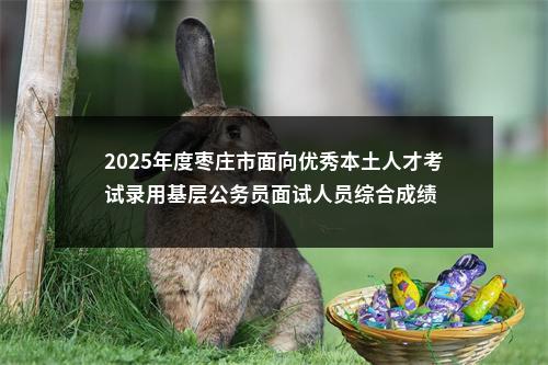 2025年度枣庄市面向优秀本土人才考试录用基层公务员面试人员综合成绩 图片
