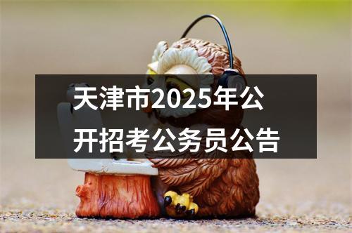 天津市2025年公开招考公务员公告 图片