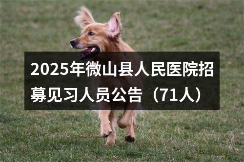 2025年微山县人民医院招募见习人员公告（71人） 图片
