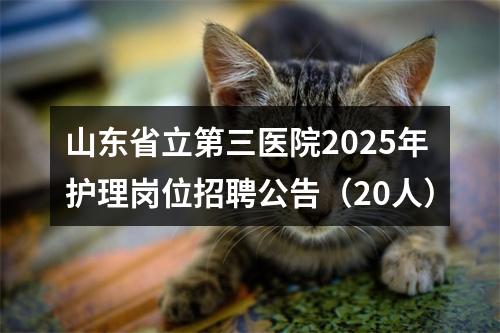 山东省立第三医院2025年护理岗位招聘公告（20人） 图片