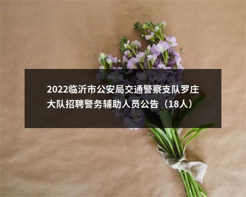 2022临沂市公安局交通警察支队罗庄大队招聘警务辅助人员公告（18人） 图片