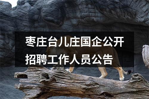枣庄台儿庄国企公开招聘工作人员公告 图片