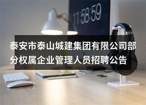 泰安市泰山城建集团有限公司部分权属企业管理人员招聘公告 图片
